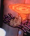 FlameSpider.png