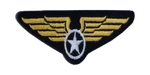 SR2 Badge Pilotwings