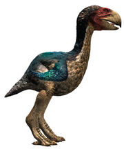 Gastornis