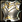 Green Breastplate