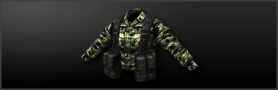 Main_woodland_camo.jpg