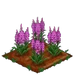 Foxglove 100