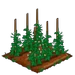 Hops 66