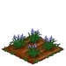 Spring Squill 66