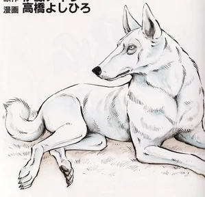 Fang675