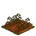 Black Tea withered
