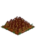 Radish withered