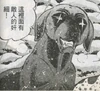 Bat14