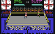 WWF European Rampage Tour2