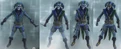 Harlequin gear
