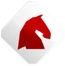 Grand Thief Dressage
