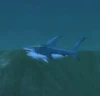 Yellowfin Shark