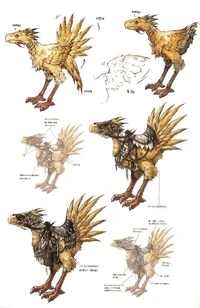 ChocoboFFXIIArtwork