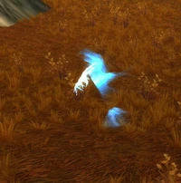 Image of Restless Spirit