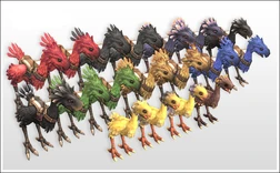 ChocobosFFXI