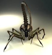 Face hugger queen
