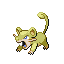 Rattata NB variocolor hembra