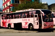 GV Florida Transport Inc - Hino RM - 323