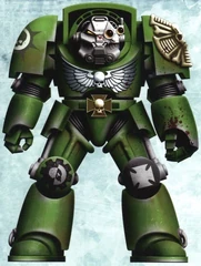 Terminator Sgt