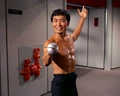 Sulu Fencing.jpg