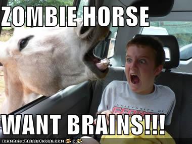 Meme_-_ZOMBIE_HORSE_WANT_BRAINS.jpg