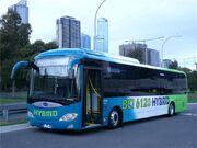 Bci buses