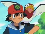 EP280 Taillow y Ash