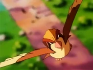 EP083 Pidgeot volando