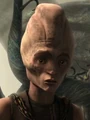 OMer.jpg