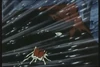 Akakabuto007