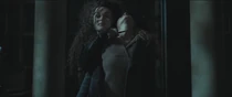 Hermione skimirish at malfoy manor