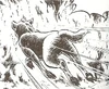 Kurojaki