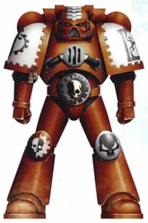 Brother Adept