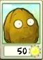 Wall-Nut Seed