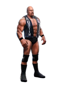 Steve Austin