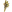 Medalla Leyenda.png