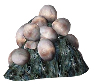 Mirelurk Eggs