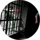 MisionesM2Portada.png