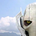 CloneWarsPaintingGrievous-SWG.jpg