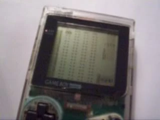 LSDJonGbpocket.jpg