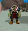 Briglar