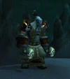 Earthwatcher Shaman