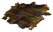Golden gecko hide