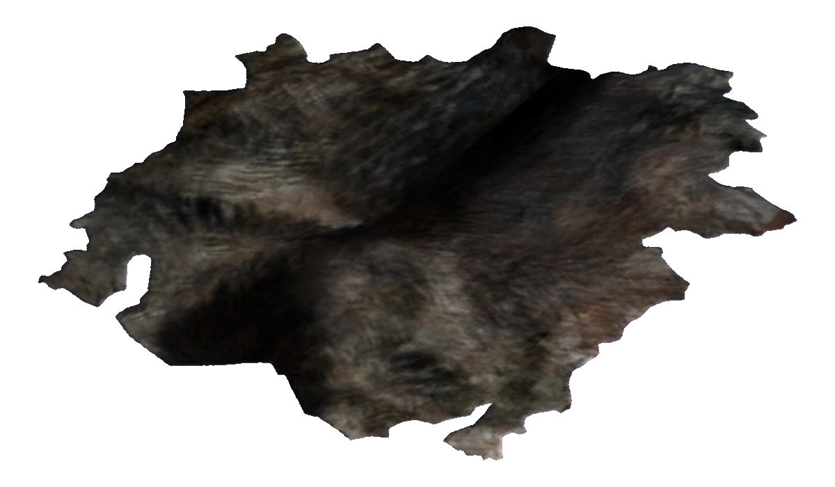 Dog hide
