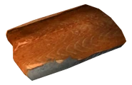 Gecko steak