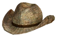 Rattan cowboy hat
