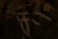 Cardassian neckbones.jpg
