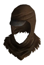Explorer hood