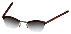 Tortiseshell Glasses
