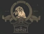Metro Goldwyn Mayer Logo